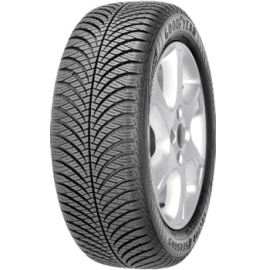 165/70 R14 81T CELOROK Vector 4Seasons G2