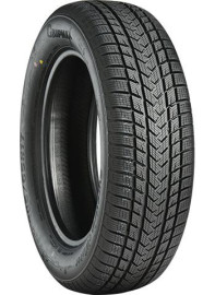 215/50 R17 95V ZIMA Gripmax SUREGRIP eWINTER XL